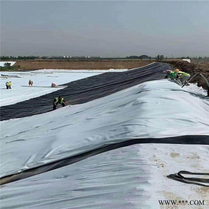 绿化白色土工布 保温透水无纺布 德州厂家供应 规格齐全 无纺滤渗水土工布图3
