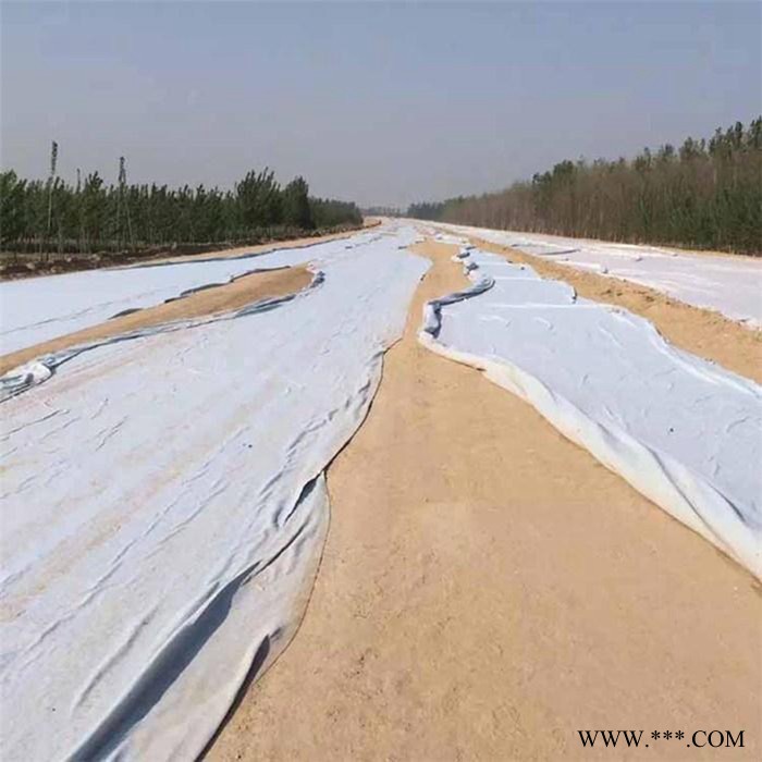 绿化白色土工布 保温透水无纺布 德州厂家供应 规格齐全 无纺滤渗水土工布图2