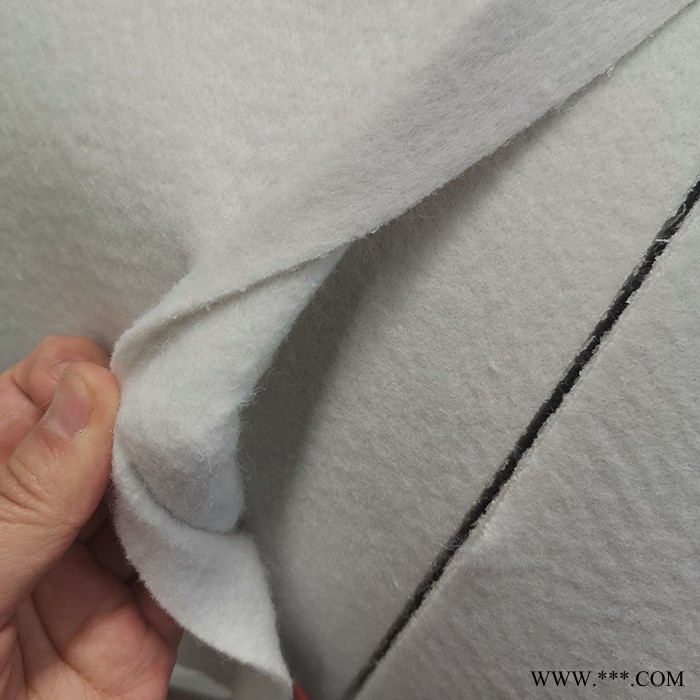 古交 聚酯无纺布垃圾填埋场专用 200g300g400g600g长丝土工布图2