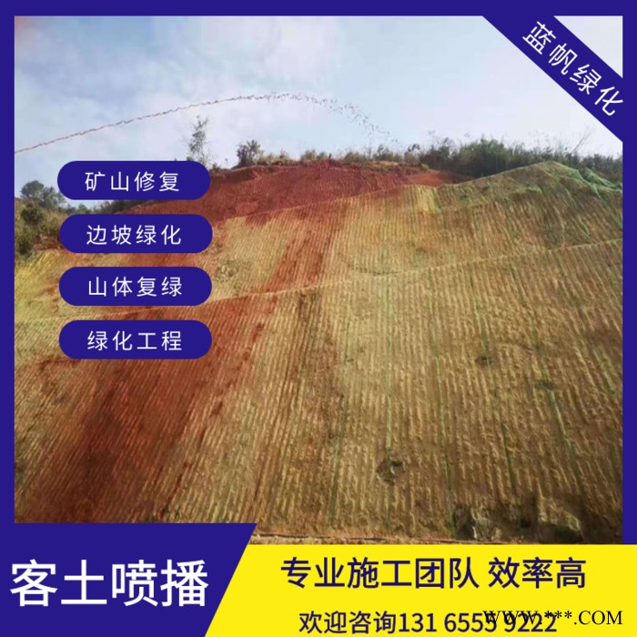 喷播草籽边坡绿化无纺布荒山复绿喷播草籽图8