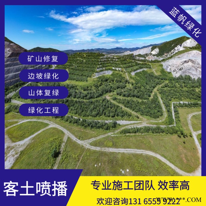 喷播草籽边坡绿化无纺布荒山复绿喷播草籽图6