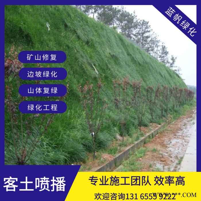 喷播草籽边坡绿化无纺布荒山复绿喷播草籽图2