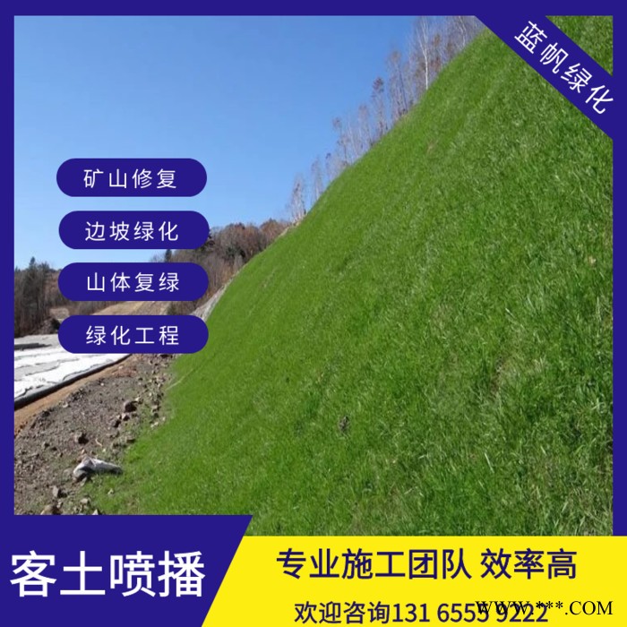 喷播草籽边坡绿化无纺布荒山复绿喷播草籽图4