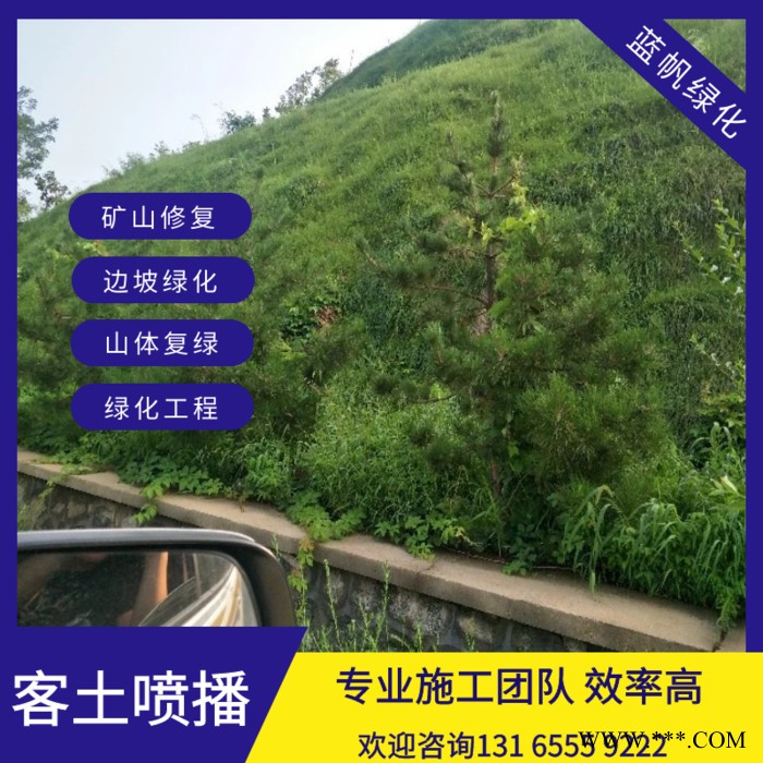 喷播草籽边坡绿化无纺布荒山复绿喷播草籽图5
