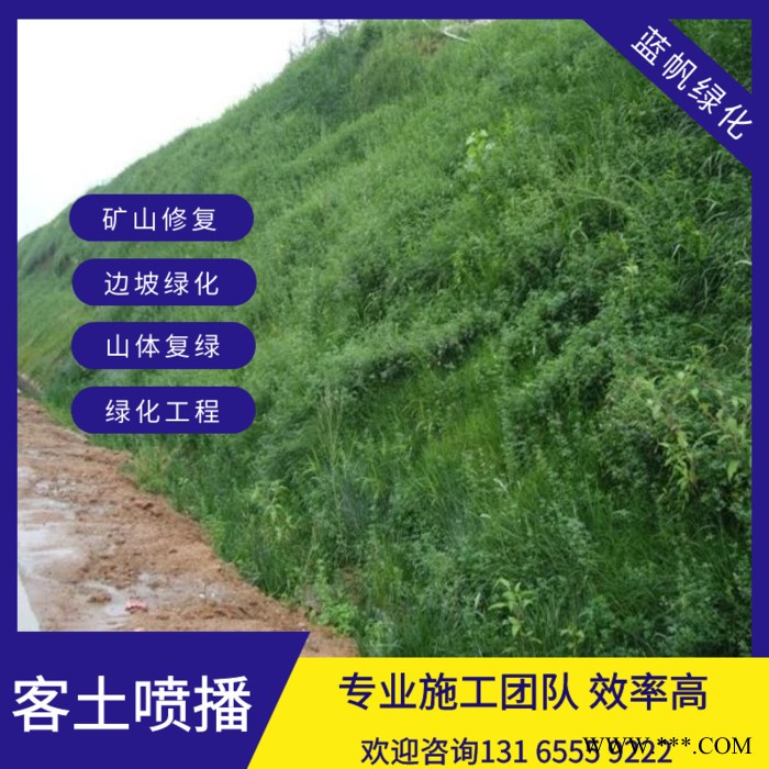 喷播草籽边坡绿化无纺布荒山复绿喷播草籽图7