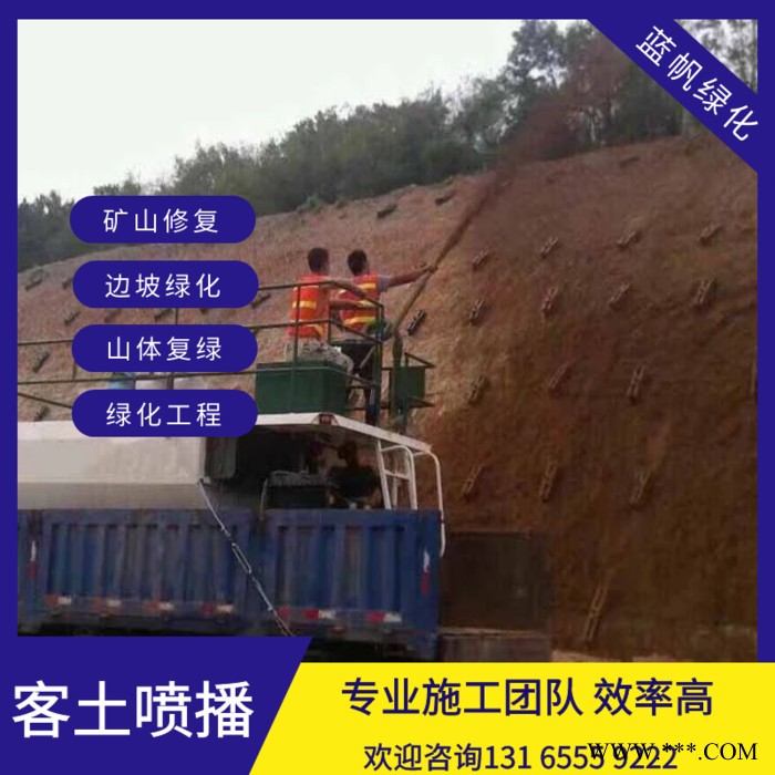 喷播草籽边坡绿化无纺布荒山复绿喷播草籽图3