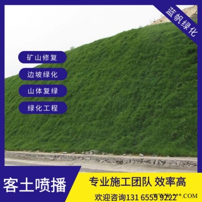 喷播草籽边坡绿化无纺布荒山复绿喷播草籽