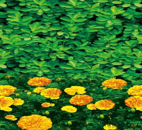 防寒布厂家 1 米印花防寒布 绿化无纺布 玉垒树木保温包树布有限公司