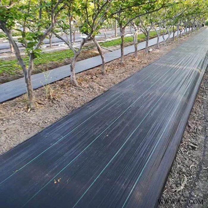 地膜除草布 黑色防草布无纺布 农用pe果园防草布 厂家供应图3