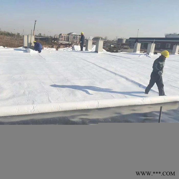 武强聚酯长丝土工布，150克200克250克300克400克聚酯无纺布厂家批发图3
