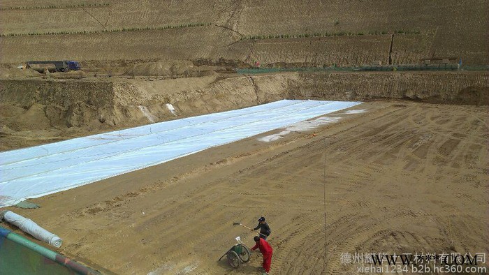致辰牌380g 非织造涤纶短纤无纺布图1