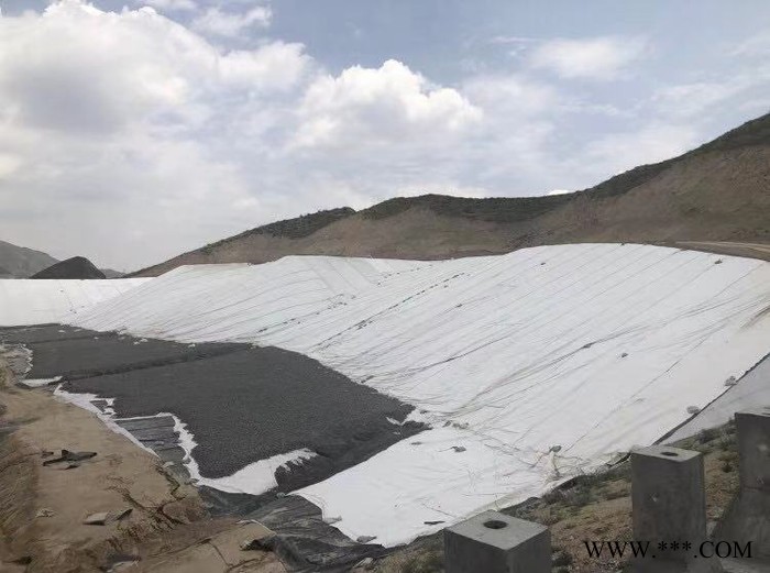 甘肃土工布批发 定制各种水利工程用防渗反滤土工布 无纺布图2