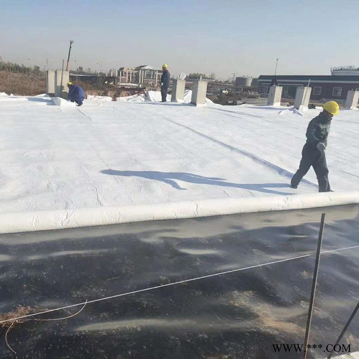 保定国标土工布/短纤土工布/长丝土工布/聚酯无纺布价格便宜，质量优，欢迎来电咨询图2