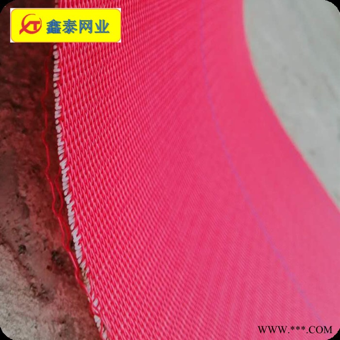 现货供应 纺粘无纺布网帘聚酯网帘 FZWL 4106红扁 大透气量 全聚酯滤网图6