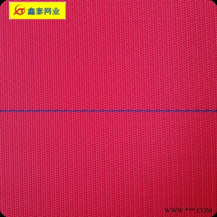 现货供应 纺粘无纺布网帘聚酯网帘 FZWL 4106红扁 大透气量 全聚酯滤网图2