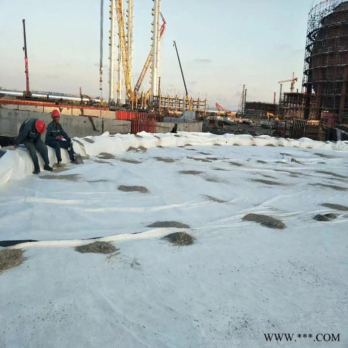 滁州土工布批发 定制各种水利工程施工用防渗反滤土工布 长丝土工布 无纺布规格齐全图2