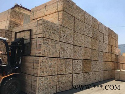 **济宁绿化防寒材料、缠树带、无纺布图5