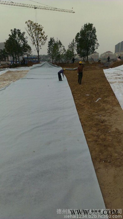 涤纶短纤无纺布300g土工布图2
