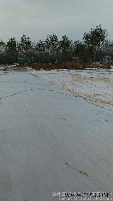 涤纶短纤无纺布300g土工布图5