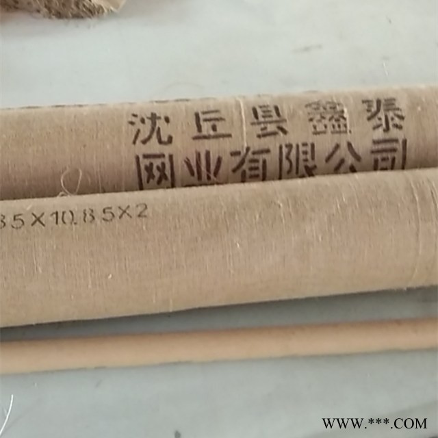 现货供应 纺粘无纺布网帘聚酯网帘网带FZWL 4106抗静电 大透气量 全聚酯滤网图2