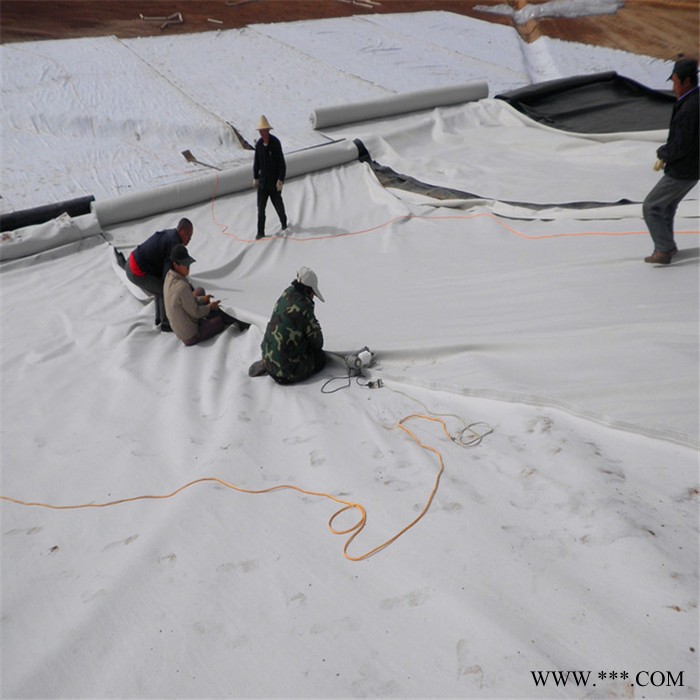儒风_厂家供应 无纺布高强度土工布 长丝土工布 机织土工布图6