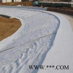 白色防渗土工布  工程建筑护坡路面养护无纺布  防水涤纶长丝土工布图3