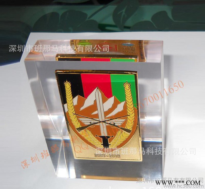 【个性定做】水晶胶内埋工艺品 水晶胶内埋纪念奖杯工艺制品图2