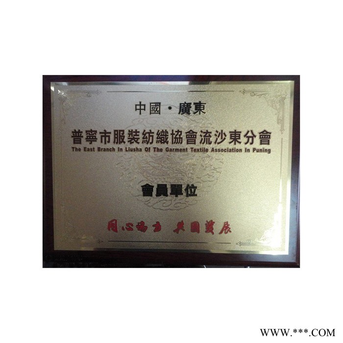 定制 铝沙金奖牌 铝沙金腐蚀奖牌 铜奖牌 金属奖牌图2