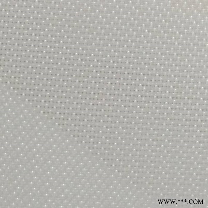 现货供应 水刺无纺布聚酯网网帘网带 SCWL103目 量大从优图2
