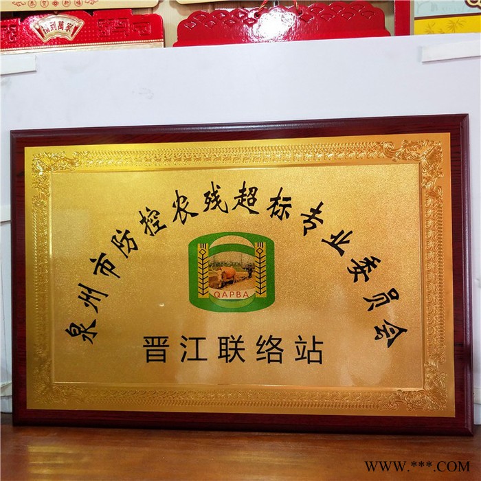 金箔奖牌授权牌荣誉牌牌匾定做制作木托铜牌木质证书代理奖牌定制图8