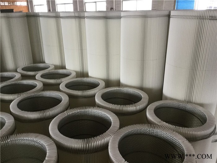 供应SAVVY赛弗除尘滤筒 抛丸除尘滤筒 聚酯纤维无纺布滤筒 喷砂吸砂滤筒 环保除尘滤筒 空气滤筒 自洁式空气过滤器滤筒图4
