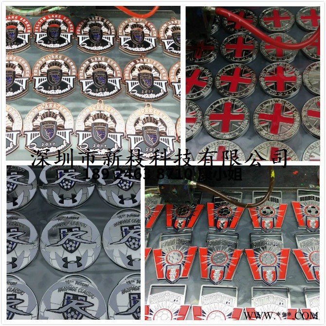 新枝科技点漆机视觉滴漆机 全自动点漆机 奖牌 徽章 铭牌多色点漆机图片视频图1