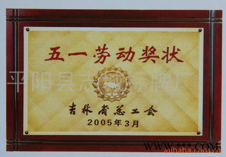 诚信鼎标示金箔奖牌 金属压铸奖牌图2