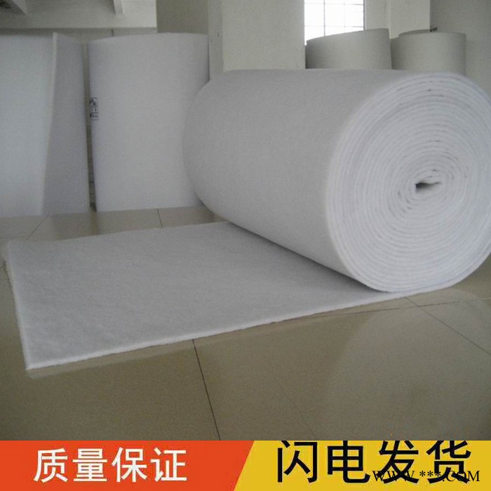 厂家供应 信贝0.4 无纺布过滤棉 风口过滤棉 初效过滤棉 进风口过滤棉 喷漆房专用顶彭棉图7