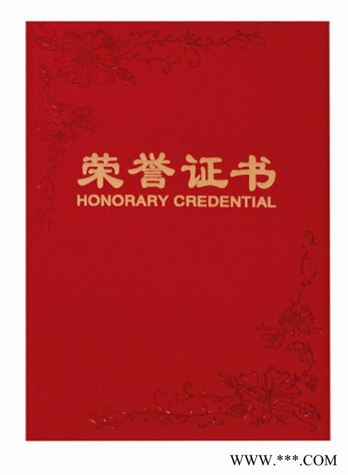 荣誉证书图8
