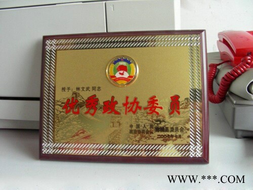 【沈阳奖章制作厂家/大连金属、铜质奖牌设计定制】图6