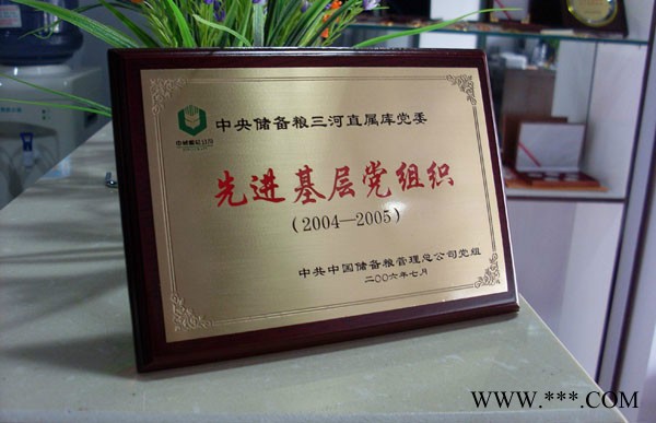【沈阳奖章制作厂家/大连金属、铜质奖牌设计定制】图2