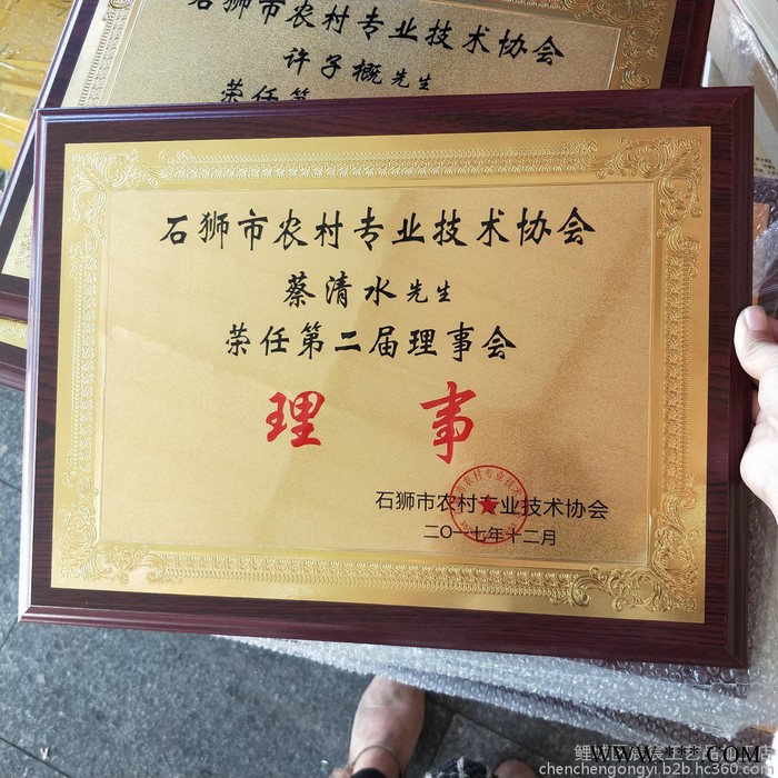 专业定制各式通用金箔木托奖牌定制 沙金堆金腐蚀牌匾** 金箔奖牌图7
