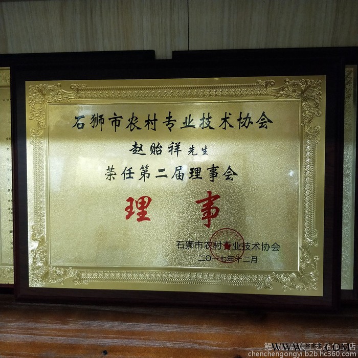 专业定制各式通用金箔木托奖牌定制 沙金堆金腐蚀牌匾** 金箔奖牌图8