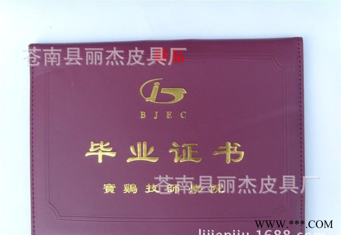 苍南**书 定制**书封面 定做皮革**书烫金封皮图3