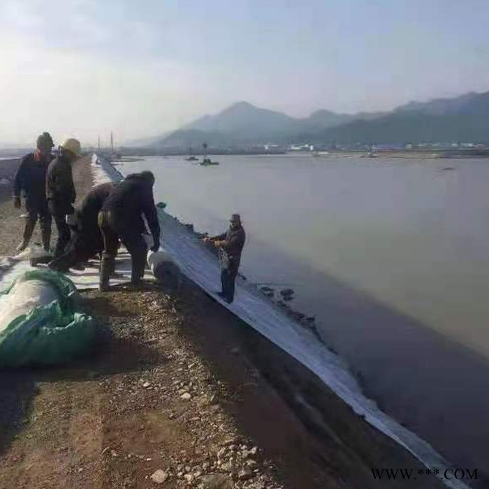 金信达恒瑞通 水泥毯 毛毡水泥毯 白色无纺布公路养护毯 大棚保温毛毡图3