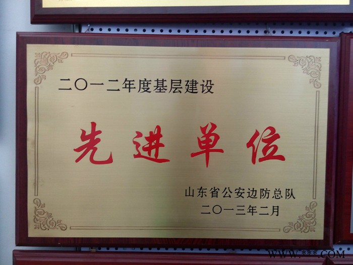 蓝光同茂ＬＧ 山东济南奖牌蚀刻机器设备加工厂家图2