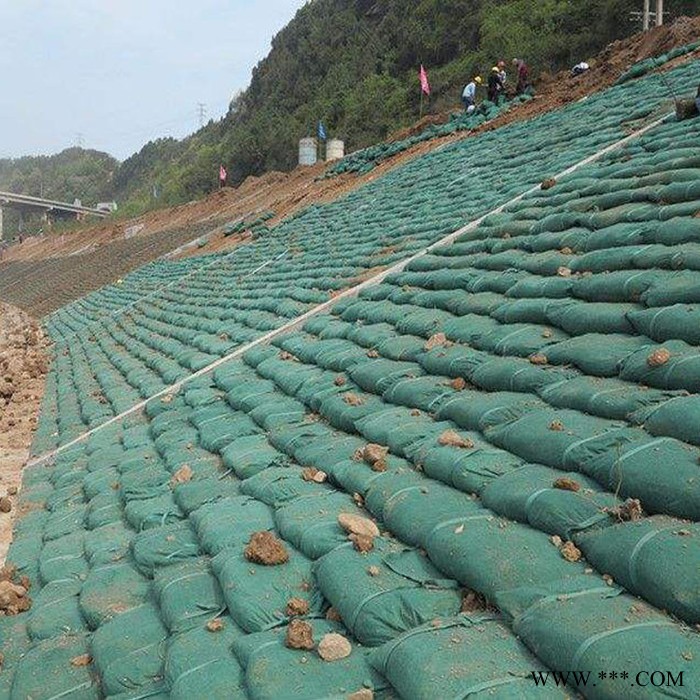 厂家定制绿化护坡生态袋  防滑加固用无纺布生态袋  涤纶生态袋  现货供应图5
