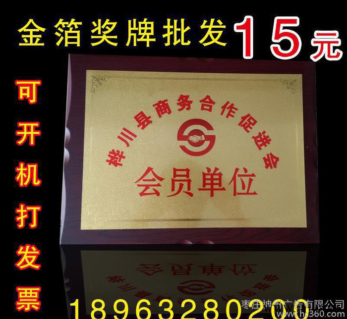 直销定制奖牌锌合金金属工艺品荣誉奖牌公司年会礼品金属画图3