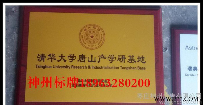 直销定制奖牌锌合金金属工艺品荣誉奖牌公司年会礼品金属画图2