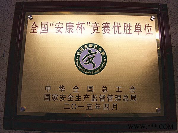 安徽省市总工会领导莅临山水装饰颁发“安康杯”奖牌图2