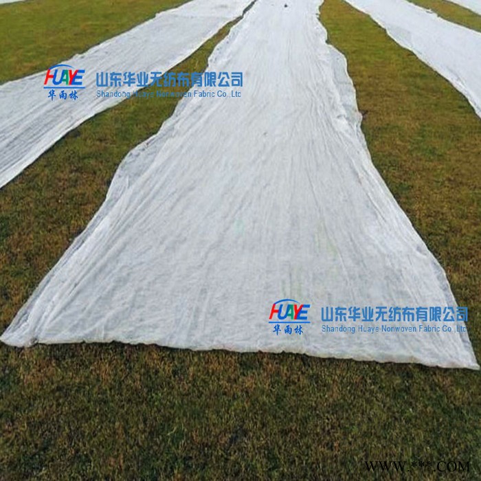 农业无纺布 10g250g无纺布/PP粒符合无纺布/SMS无纺布图3