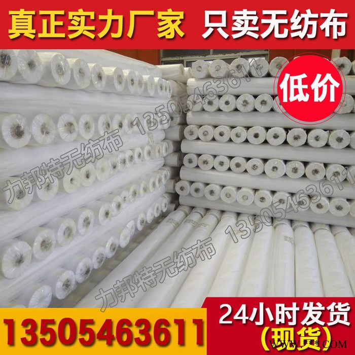 低价无纺布厂家生产 丙纶无纺布 PP纺粘无纺布 家纺防尘无纺布 白色