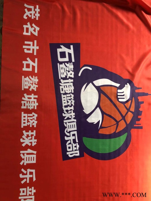 旗帜定做大小旗子彩旗制作队旗班旗订做广告旗校旗仿古旗战旗定制图3