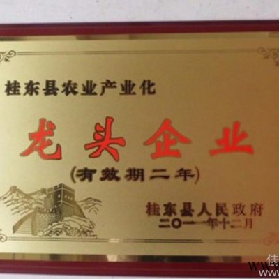 厂家专业生产；铝沙奖牌广告牌  不锈钢 腐蚀牌 标牌 铜牌